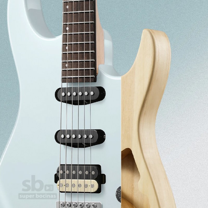 GUI499-5