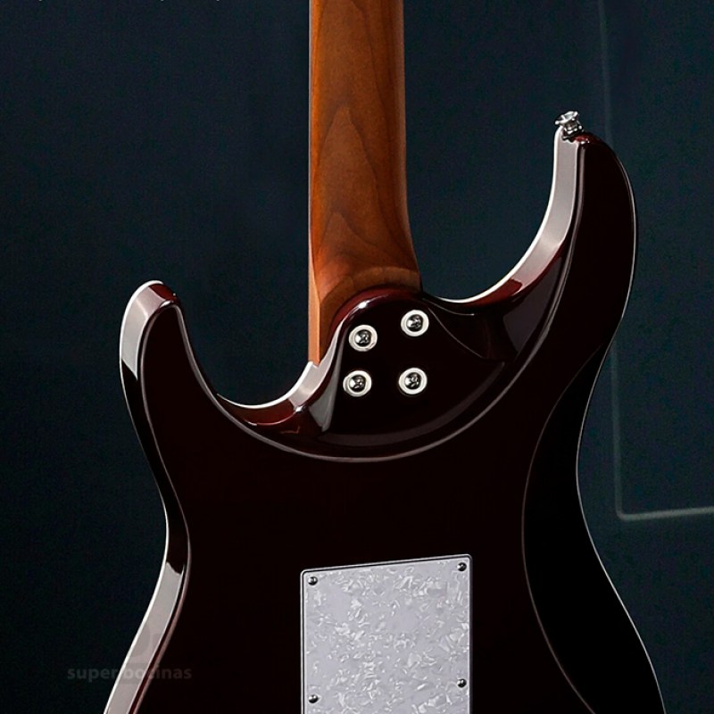 GUI501-5