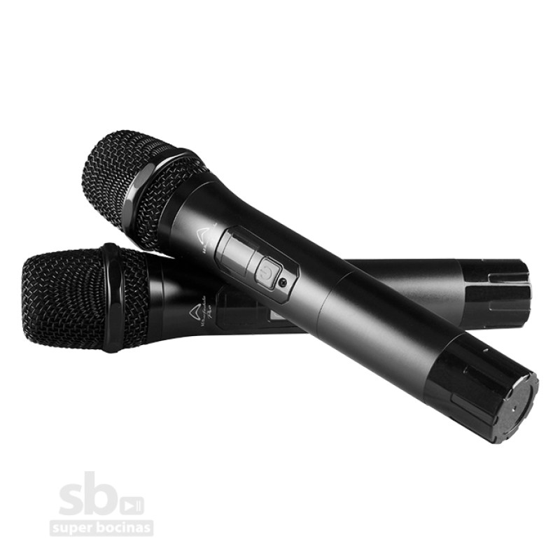 MIC808-2