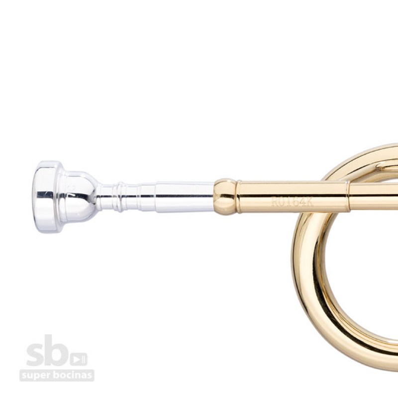 www.superbocinas.com.gt-2-WS-TR255S-stagg