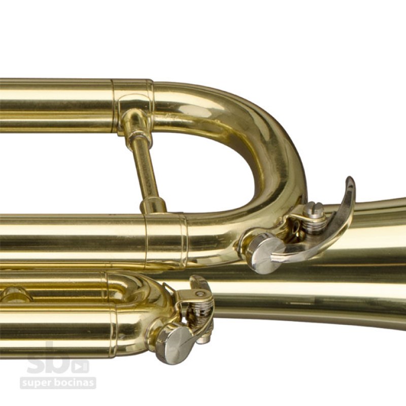 www.superbocinas.com.gt-3-WS-TR215S-stagg