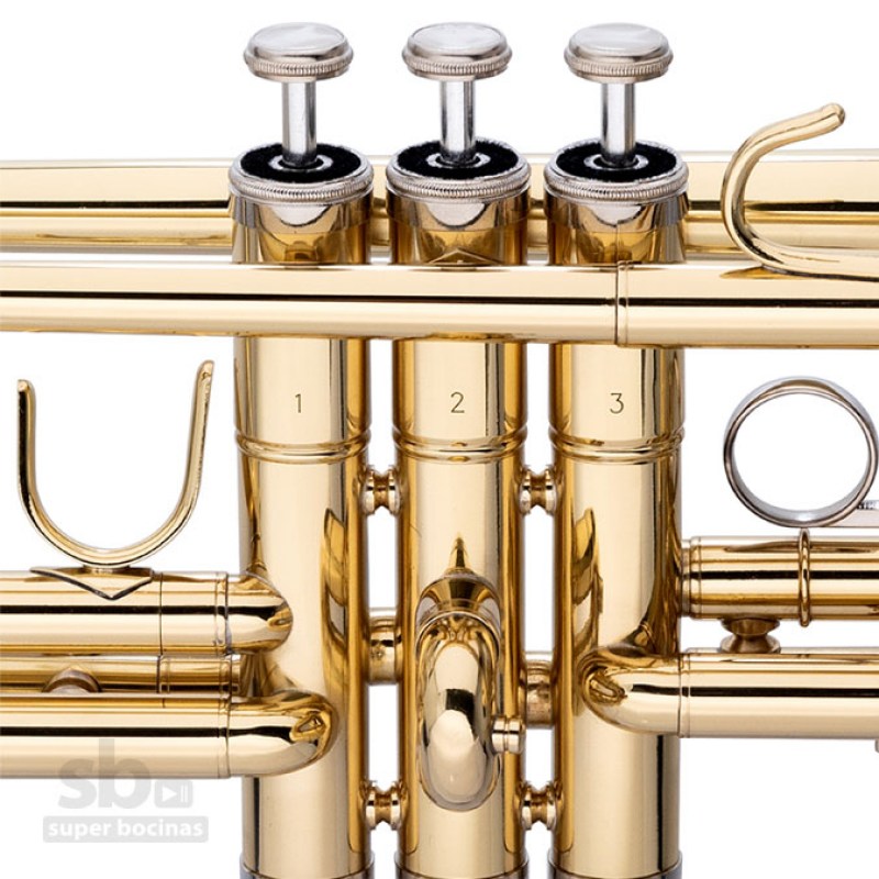 www.superbocinas.com.gt-3-WS-TR255S-stagg