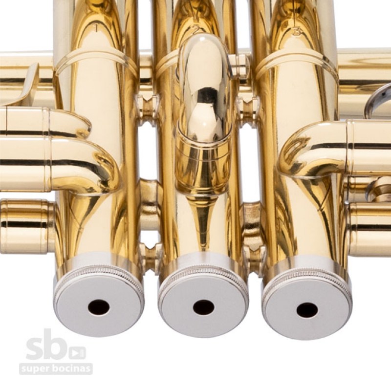 www.superbocinas.com.gt-4-WS-TR255S-stagg