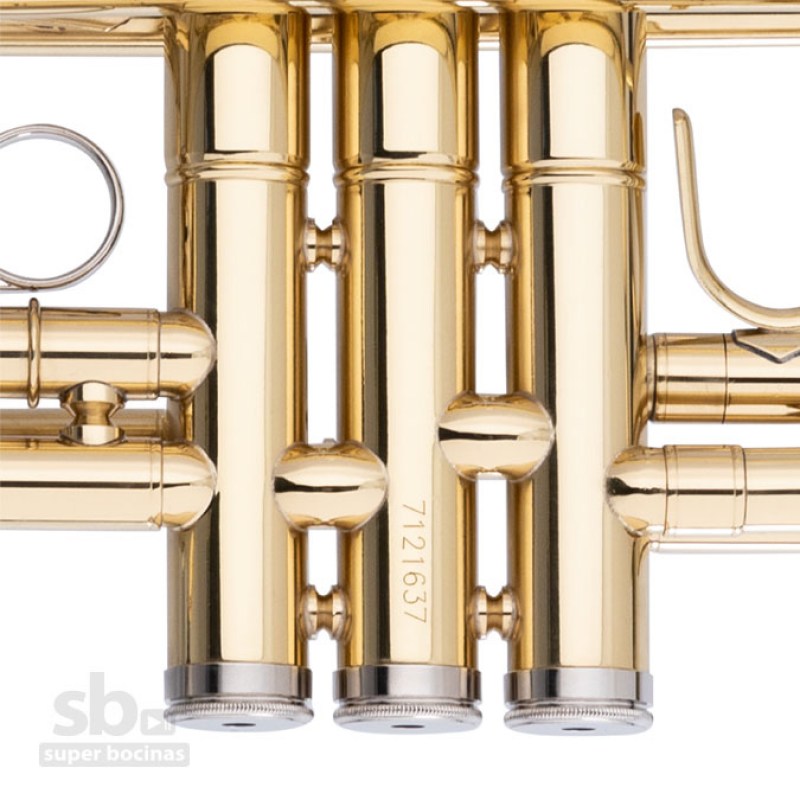 www.superbocinas.com.gt-5-WS-TR255S-stagg