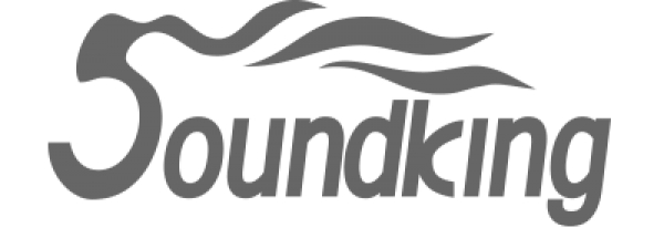 Soundking